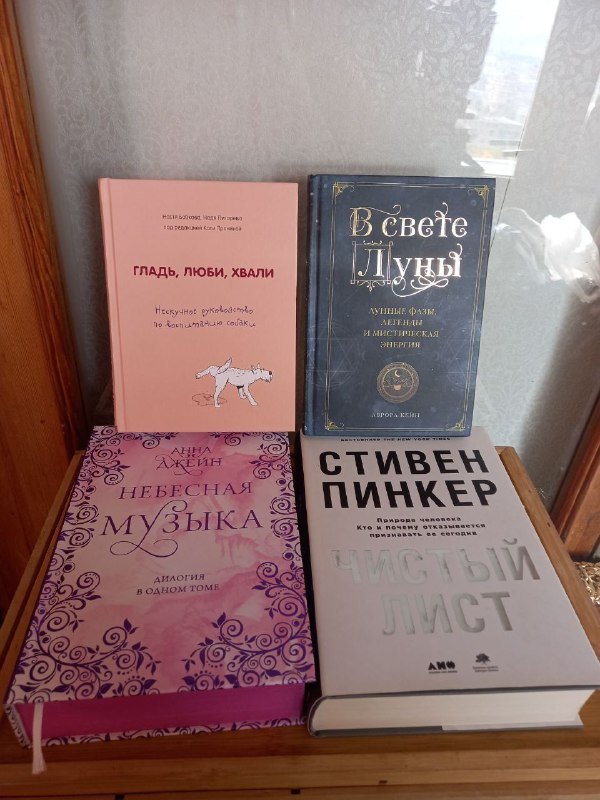 Куртка-фуфайка, куртка-бомбер Zara, пальто Furor, ботинки Verbenas, книги 8