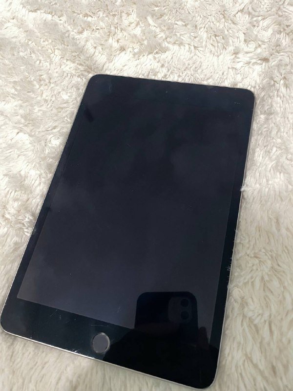 ipad mini 4 2