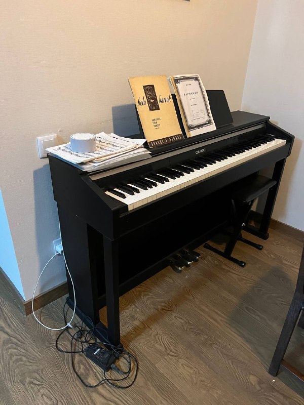 Casio Celviano AP-420 цифровое пианино
