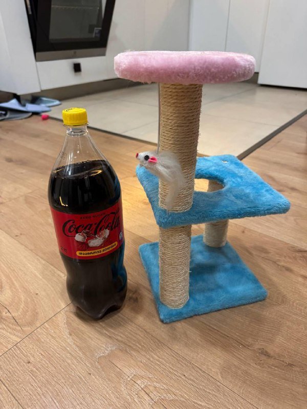 Когтеточка на котенка, настольные игры, костыли, ходунки