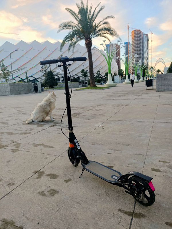 Два самоката белый и чёрный 2