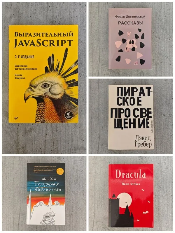 Книги Достоевский, Дракула, Пиратское просвещение, Полночная библиотека, Выразительный JavaScript
