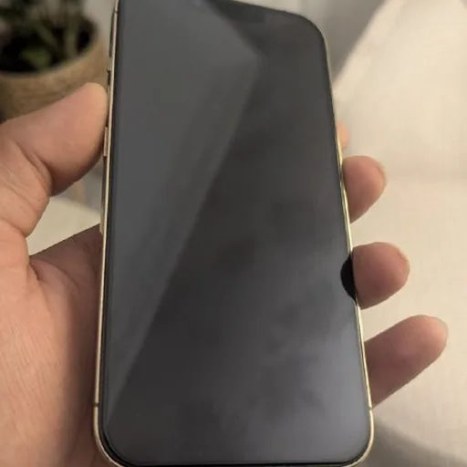 iPhone 13 Pro 256 ГБ