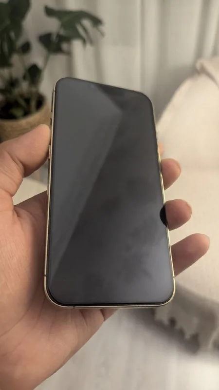 iPhone 13 Pro 256 ГБ 1