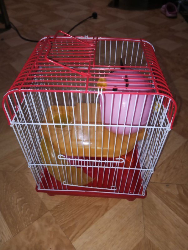 Клетка для хомяка 2 яруса с поилкой и кормушкой 3