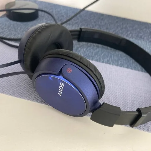 Sony headphones, DualShock controller