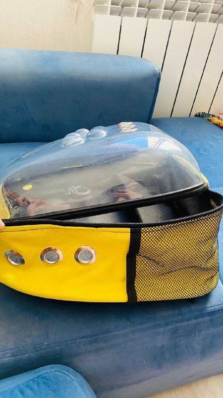 Переноска рюкзак для животных 33x25x40 желтый 2