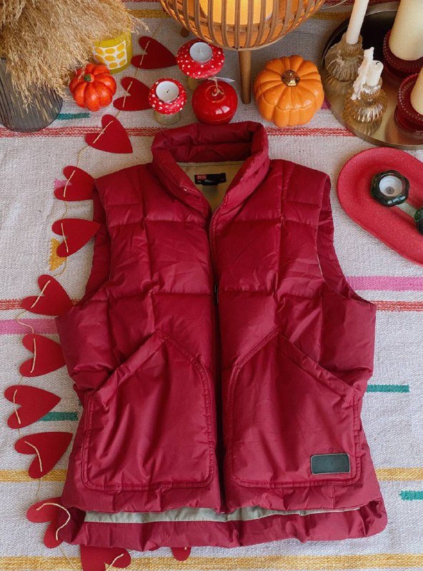 Пудровый свитшот с утяжками, Нейлоновый жилет на пуху, Худи с динозавром, Трикотажный свитер V-образный воротник 2