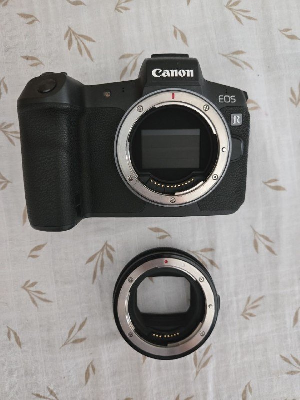 Беззеркальная камера Canon EOS R, объектив Canon EF 24-70mm f/2.8L USM 6