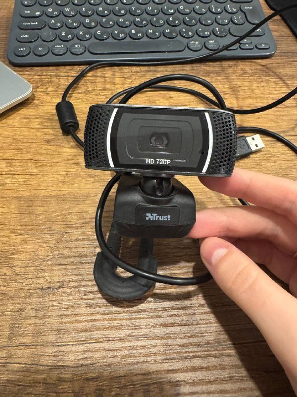 Ошейник кожаный, пальто, веб-камера, массажер для лица, сканер 4