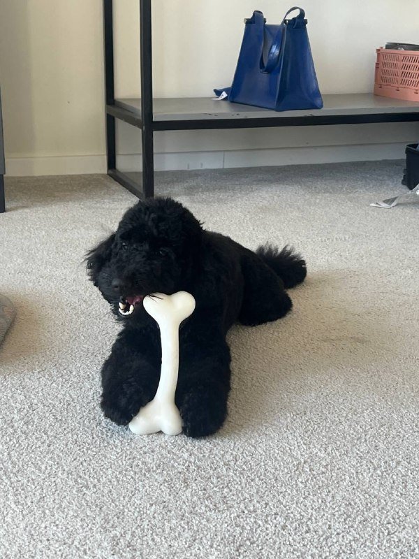 Цифровой фотоаппарат 2