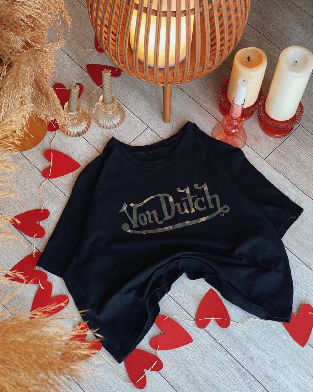 Женские футболки True Religion, Dickies, Ralph Lauren, Stella McCartney, Santa Cruze, Von Dutch, The North Face, Calvin Klein, Diesel 6