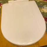 Стульчак с крышкой для унитаза 1