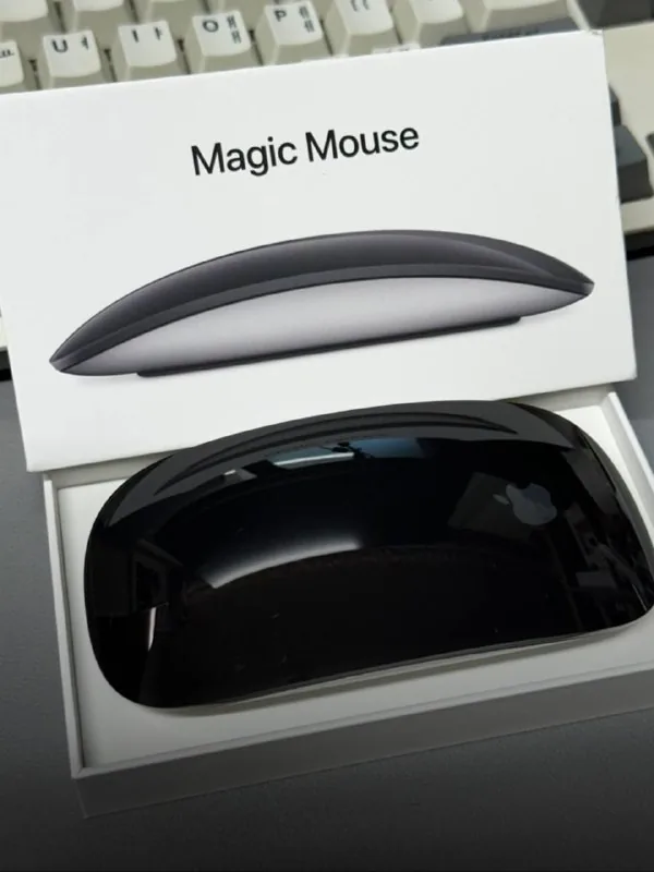 Magic Mouse 1