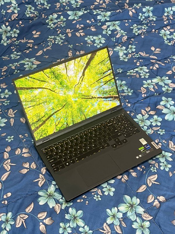 Игровой ноутбук Lenovo Legion Pro 5 16IRX8