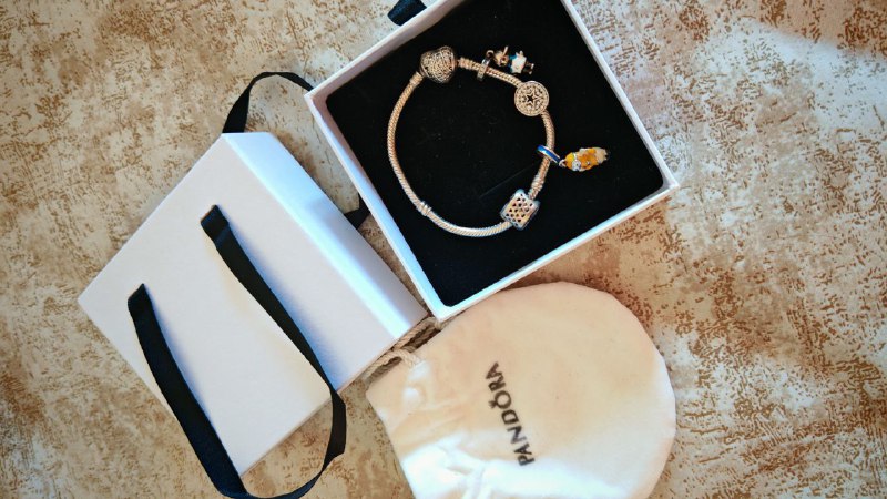 Casio watch, Pandora bracelet, set of brushes 2