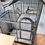Клетка 4