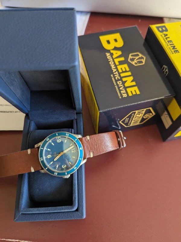 Nezumi Baleine diver's automatic watch