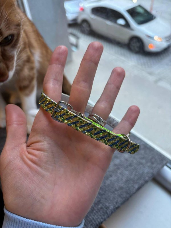 Защитный воротник, игрушки, ошейники, расчёска для животных 7