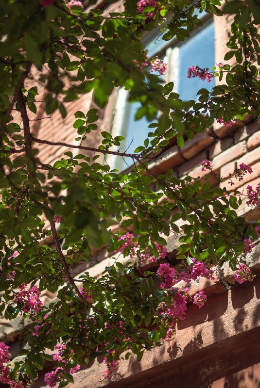 Фотоаппараты Sony A200, Fujifilm FinePix S2 Pro, Sony Mavica с объективами 7