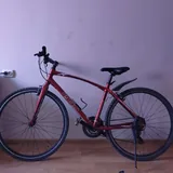 Momentum Giant 1