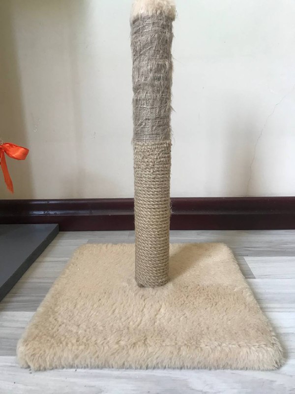 3 когтеточки
