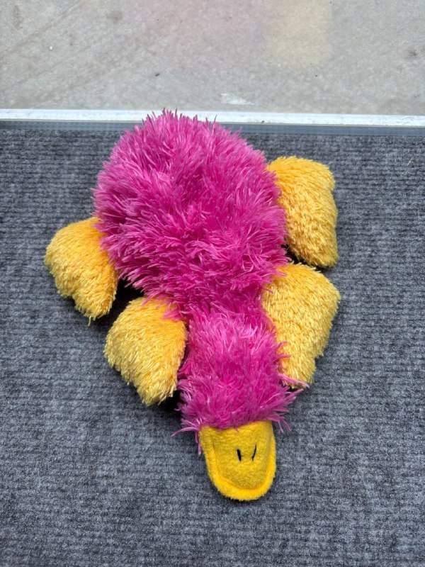 Игрушки для животных Miniso и другие 2