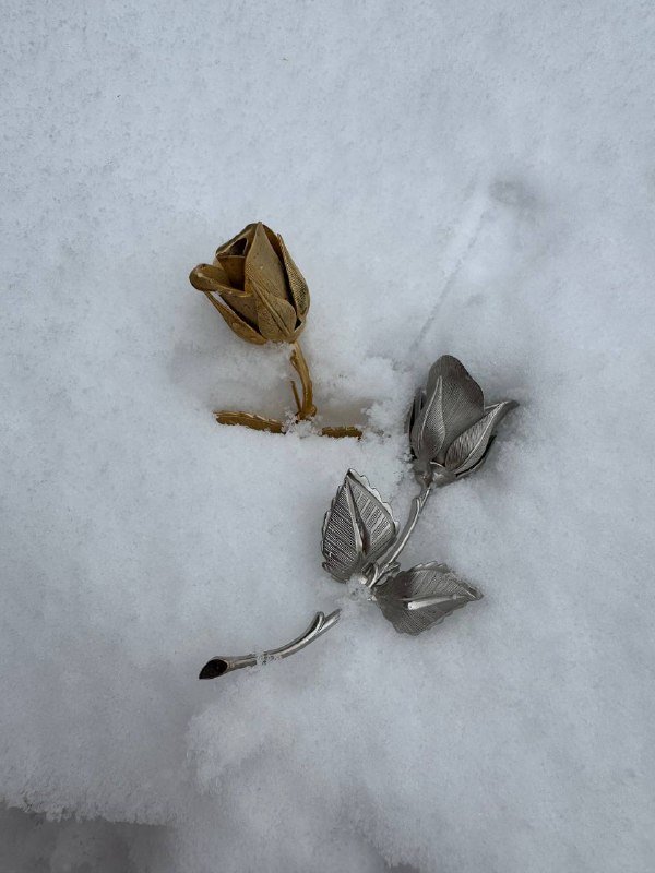 Винтажная брошь Giovanni Christmas Rose