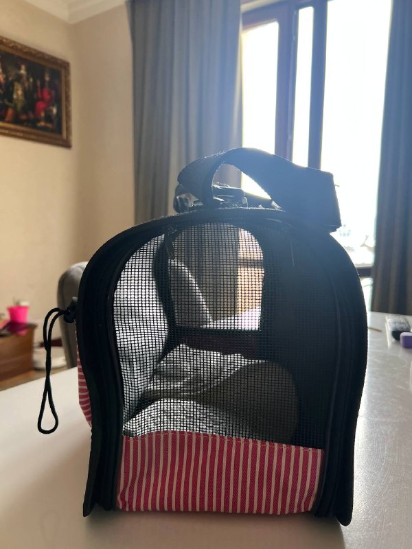 Переноска для собаки/кошки 3