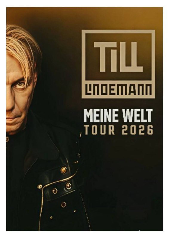 4 билета на концерт Till Lindemann