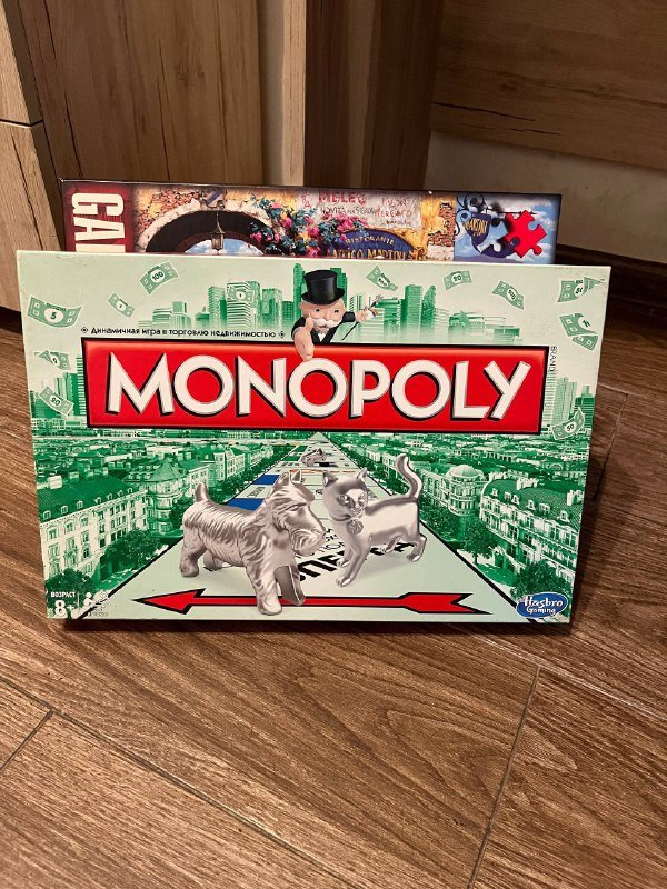 Драцена комнатное растение, Швейный набор, Монополия, Бомбер S-M 3