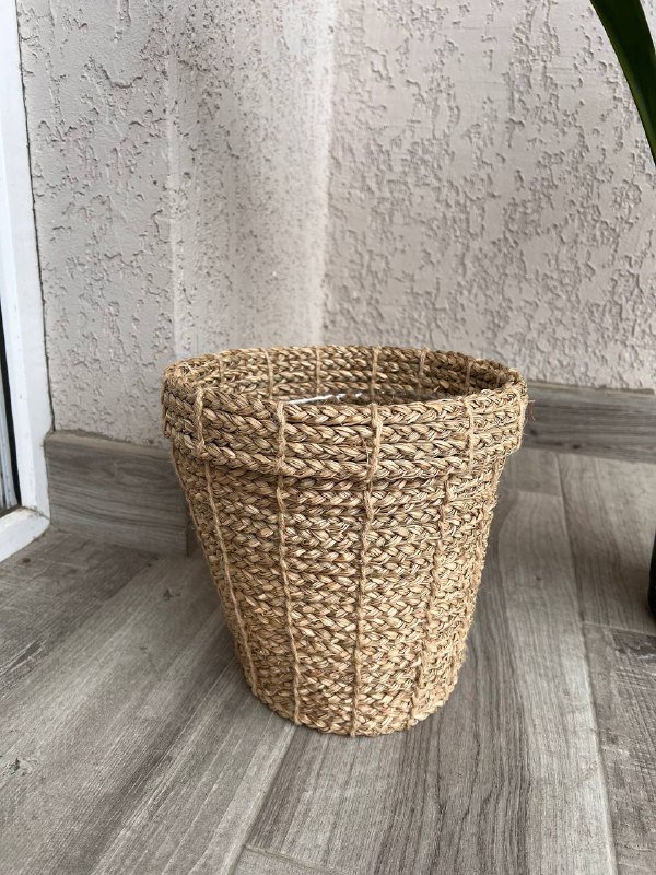 Аспидистра комнатное растение, Кашпо Jysk диаметр 24см 6