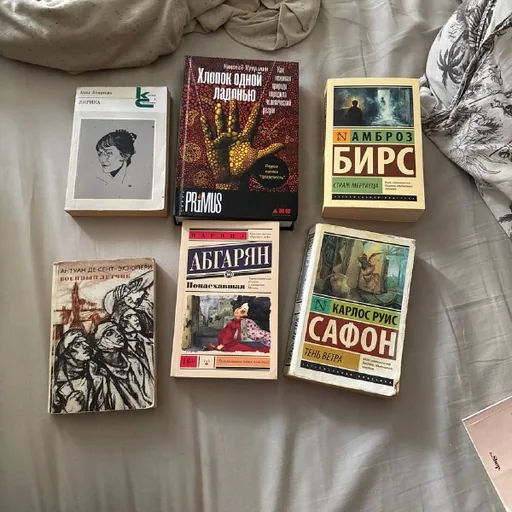 Книги Ахматова, Хлопок одной ладонью, Страх мертвеца, Военный лётчик, Понаехавшая, Тень ветра, Числа, Свидание Джима, Milk and honey