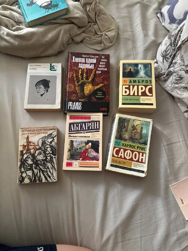 Книги Ахматова, Хлопок одной ладонью, Страх мертвеца, Военный лётчик, Понаехавшая, Тень ветра, Числа, Свидание Джима, Milk and honey 1