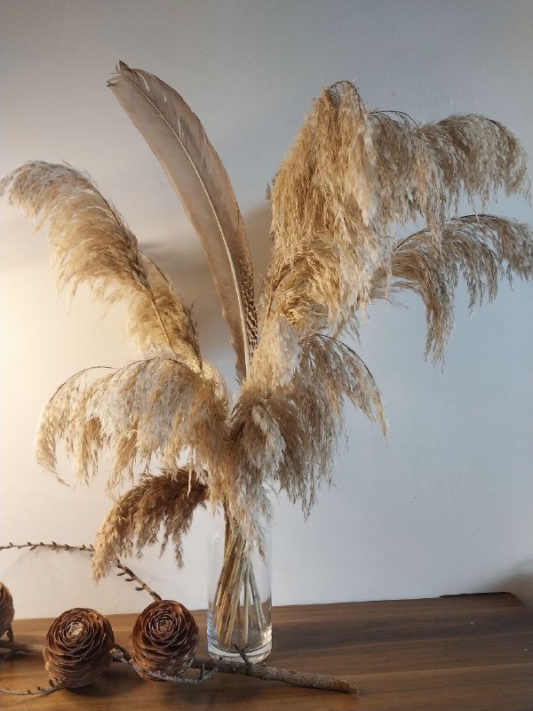 Пампасная трава с вазой, шишки гималайского кедра
