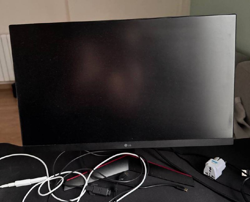 Монитор LG 24GN600 1