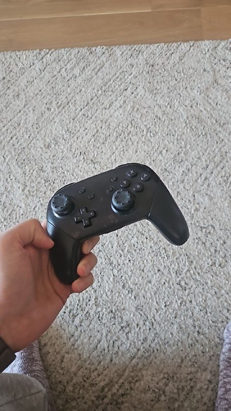 Switch Pro Controller