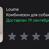 Дождевик для маленьких собак, размер M 3