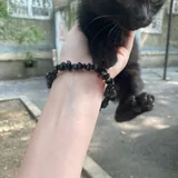 Отдам котёнка в добрые руки 1