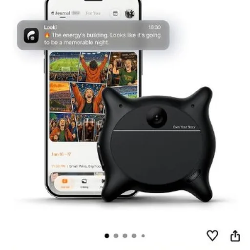 ИИ ассистент Looki