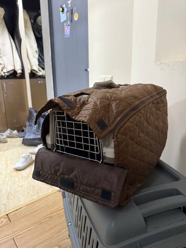 Аксессуары и техника, мебель, обувь, переноски для питомцев, книги 6