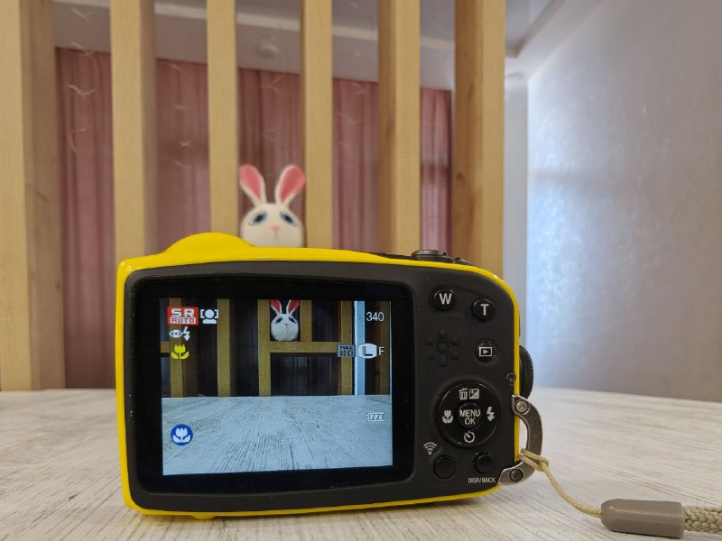 Фотоаппарат FUJIFILM FinePix XP80 2