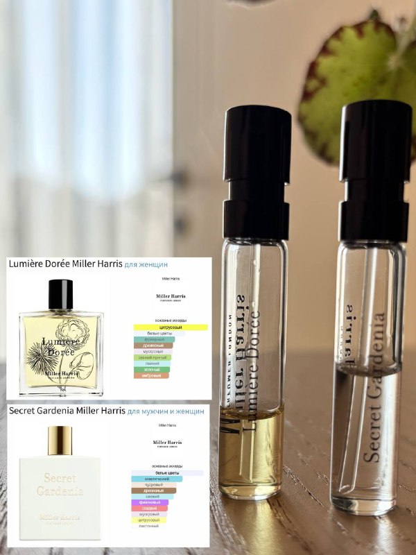 Отливанты Spectre Wraith, Cocoa Morado, Tabac, Secret Gardenia, Lumière Dorée 4