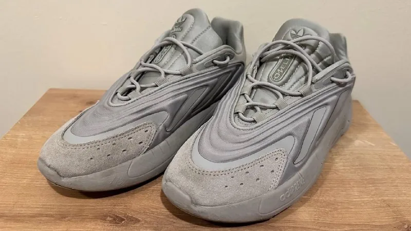 Кроссовки adidas Ozelia 1