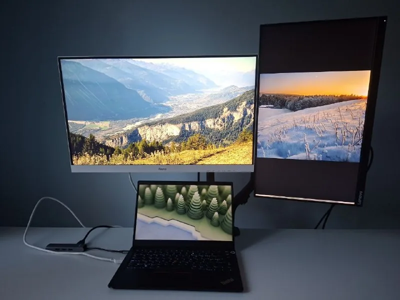 Мониторы iiyama и Lenovo, кронштейн Gembird 1