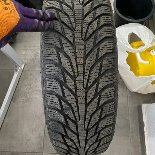 Зимние шины Petlas Glacier W661 185/65R15