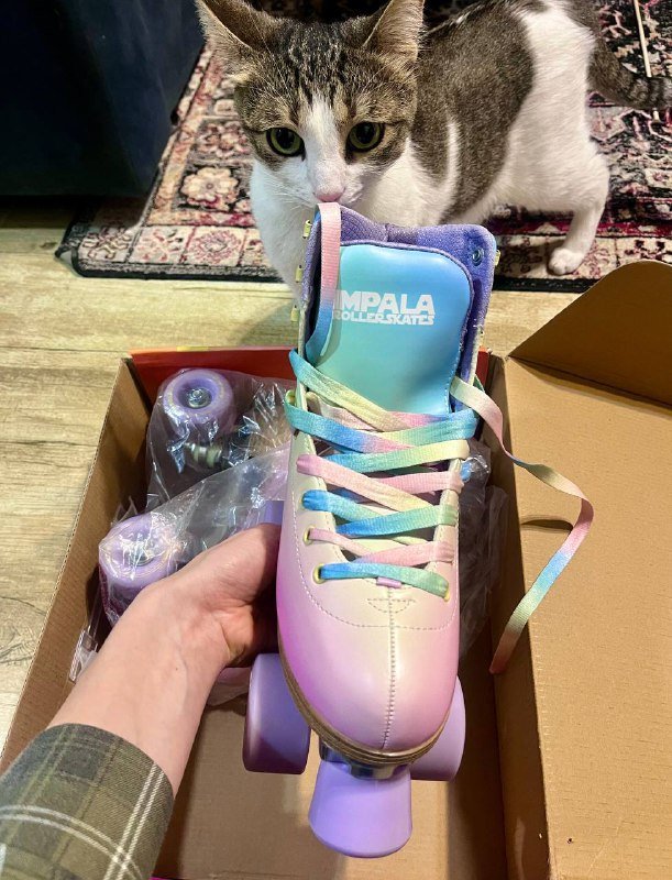 Роликовые коньки квады Impala ретро 37 размер 2