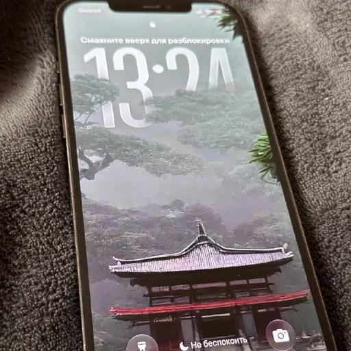 iPhone 12 Pro Max 512GB