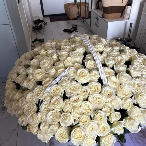 247 роз