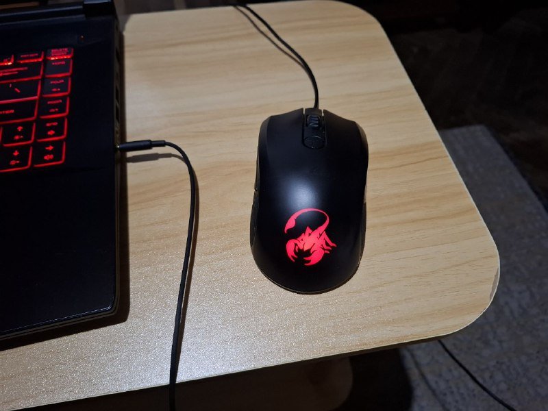 Мышь Genius X G-600